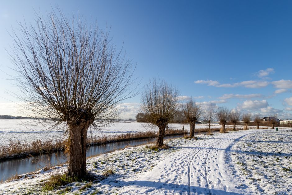 Ooijpolder wandelen, Nijmegen foto voor Wandelen door de Ooijpolder bij Nijmegen